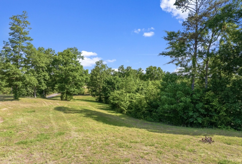 117 RIVERBREEZE DR, Sugar Tree, Tennessee 38380, ,Land,For Sale,RIVERBREEZE,10222209