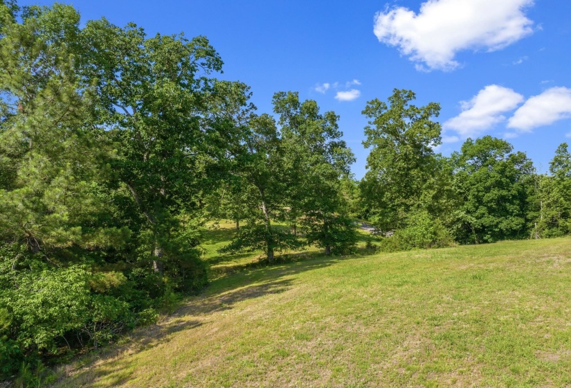117 RIVERBREEZE DR, Sugar Tree, Tennessee 38380, ,Land,For Sale,RIVERBREEZE,10222209