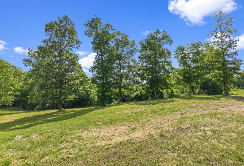 117 RIVERBREEZE DR, Sugar Tree, Tennessee 38380, ,Land,For Sale,RIVERBREEZE,10222209