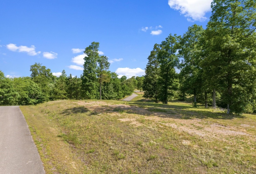 117 RIVERBREEZE DR, Sugar Tree, Tennessee 38380, ,Land,For Sale,RIVERBREEZE,10222209