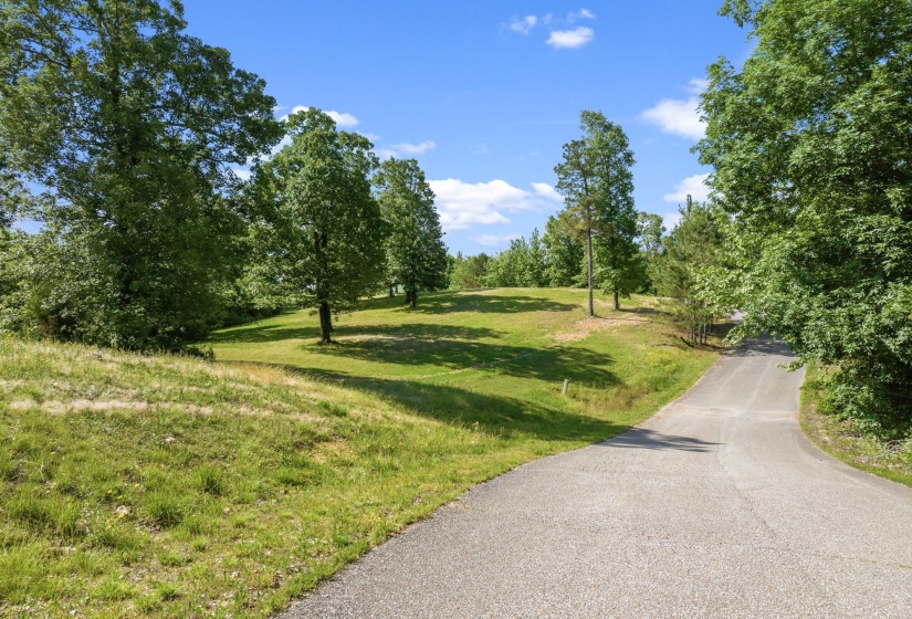 117 RIVERBREEZE DR, Sugar Tree, Tennessee 38380, ,Land,For Sale,RIVERBREEZE,10222209