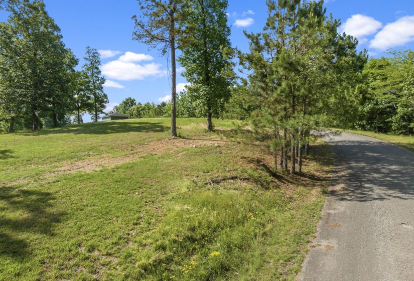 117 RIVERBREEZE DR, Sugar Tree, Tennessee 38380, ,Land,For Sale,RIVERBREEZE,10222209