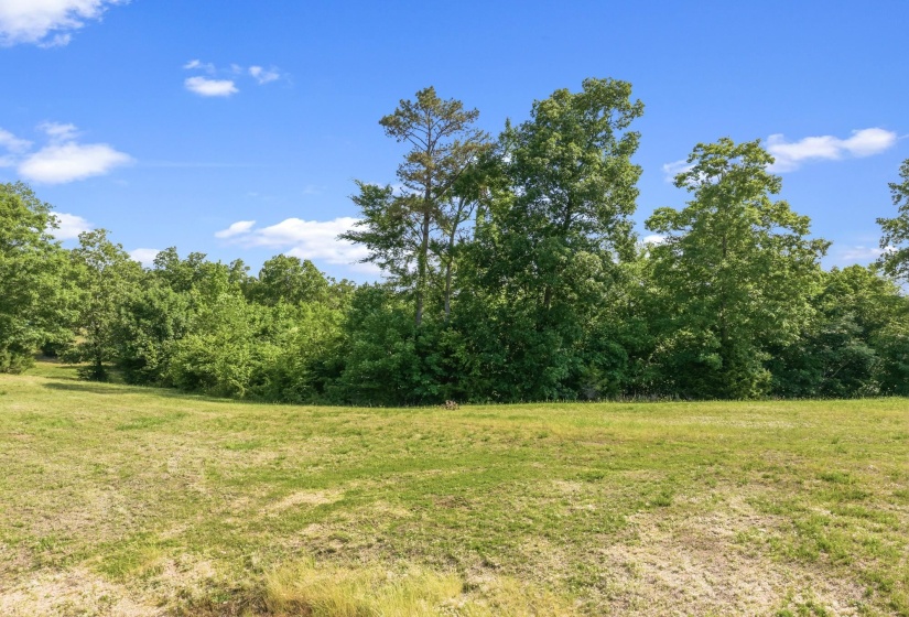 117 RIVERBREEZE DR, Sugar Tree, Tennessee 38380, ,Land,For Sale,RIVERBREEZE,10222209