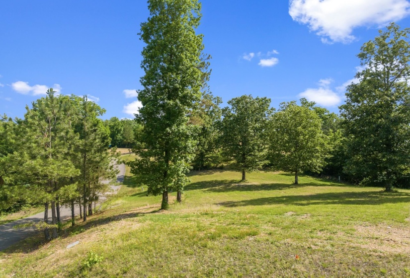 117 RIVERBREEZE DR, Sugar Tree, Tennessee 38380, ,Land,For Sale,RIVERBREEZE,10222209