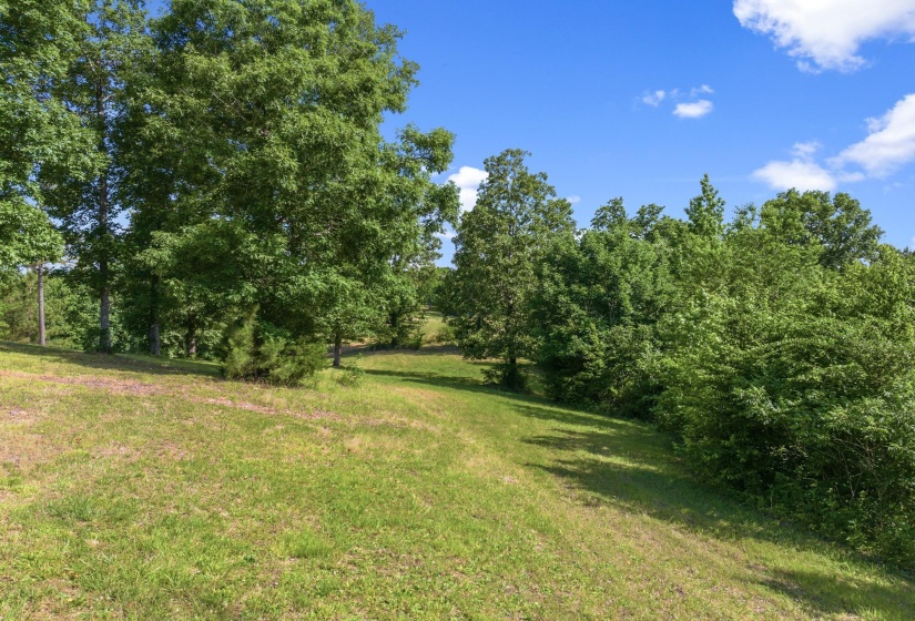 117 RIVERBREEZE DR, Sugar Tree, Tennessee 38380, ,Land,For Sale,RIVERBREEZE,10222209