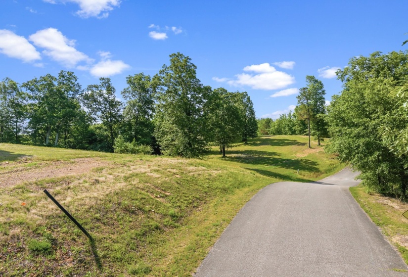 117 RIVERBREEZE DR, Sugar Tree, Tennessee 38380, ,Land,For Sale,RIVERBREEZE,10222209