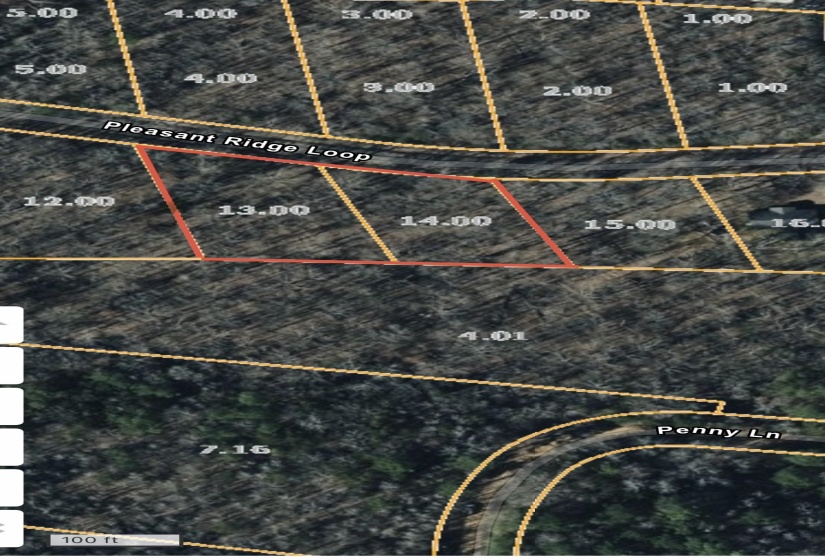 28 & 29 PLEASANT RIDGE LOOP, Adamsville, Tennessee 38310, ,Land,For Sale,PLEASANT RIDGE,10222215