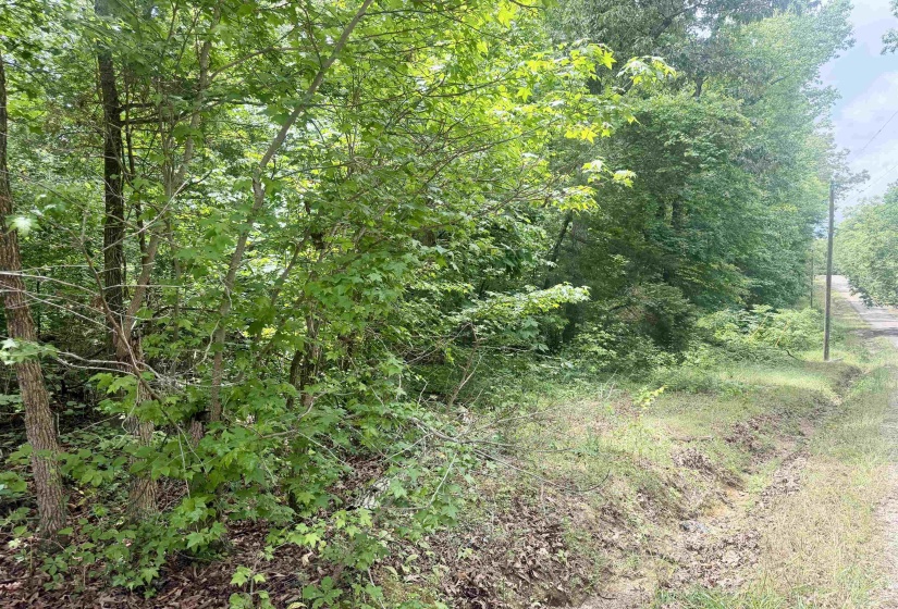 28 & 29 PLEASANT RIDGE LOOP, Adamsville, Tennessee 38310, ,Land,For Sale,PLEASANT RIDGE,10222215