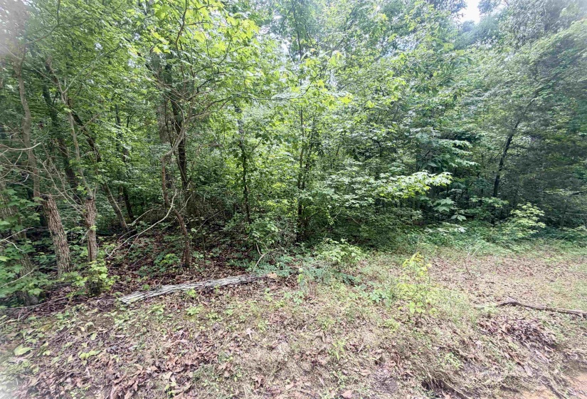 28 & 29 PLEASANT RIDGE LOOP, Adamsville, Tennessee 38310, ,Land,For Sale,PLEASANT RIDGE,10222215