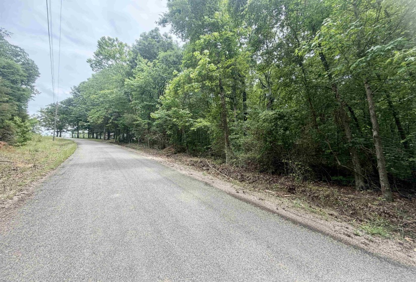 28 & 29 PLEASANT RIDGE LOOP, Adamsville, Tennessee 38310, ,Land,For Sale,PLEASANT RIDGE,10222215