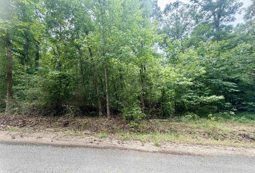 28 & 29 PLEASANT RIDGE LOOP, Adamsville, Tennessee 38310, ,Land,For Sale,PLEASANT RIDGE,10222215