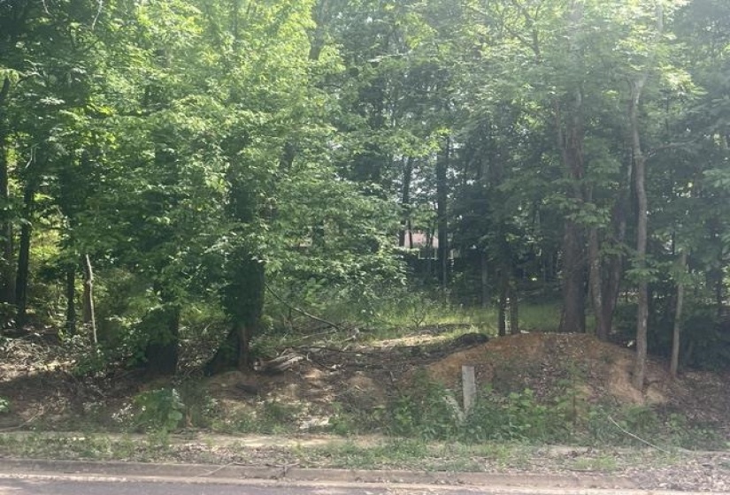 Wooded lot featuring mature trees, natural ground cover, and varied topography