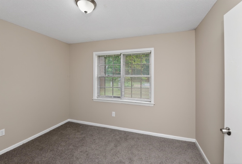 Neutral-toned walls and plush carpet flooring complement a double-hung window with blinds