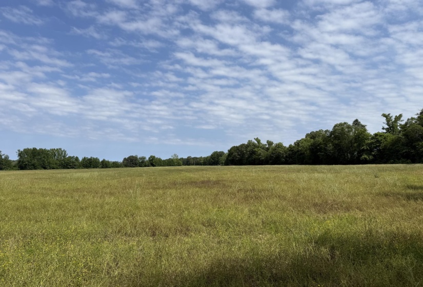 1 CARTER RD, Saltillo, Tennessee 38370, ,Land,For Sale,CARTER,10222250