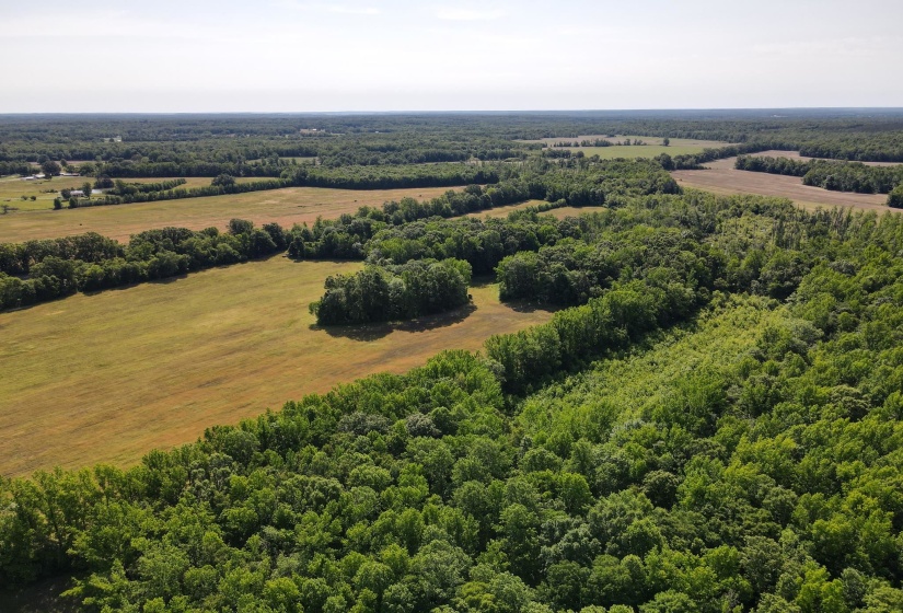 1 CARTER RD, Saltillo, Tennessee 38370, ,Land,For Sale,CARTER,10222250