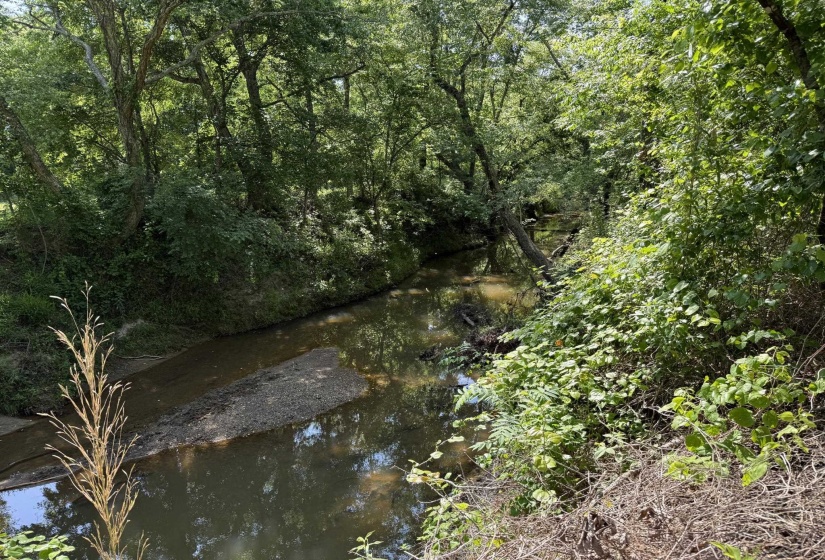 1 CARTER RD, Saltillo, Tennessee 38370, ,Land,For Sale,CARTER,10222250