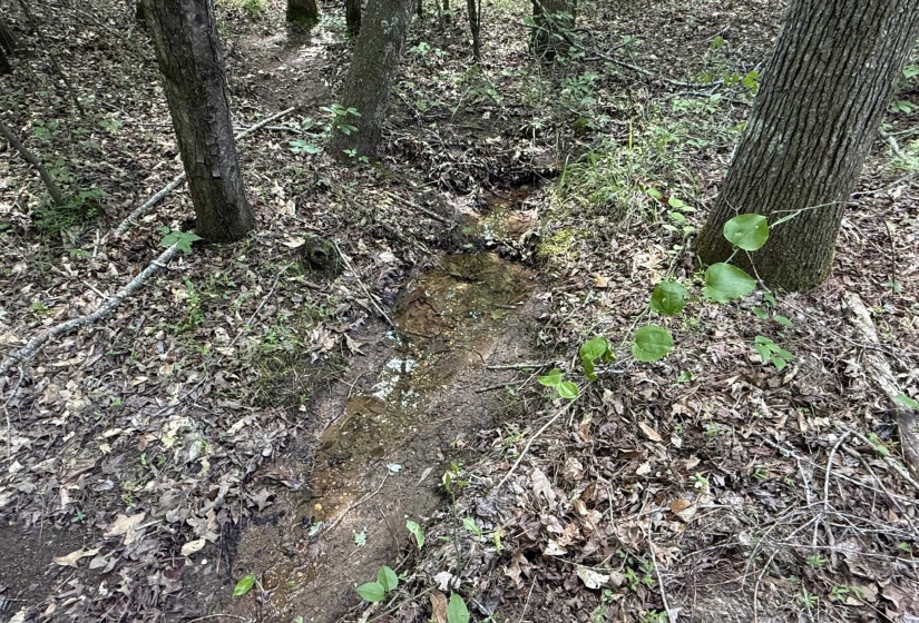 1 CARTER RD, Saltillo, Tennessee 38370, ,Land,For Sale,CARTER,10222250