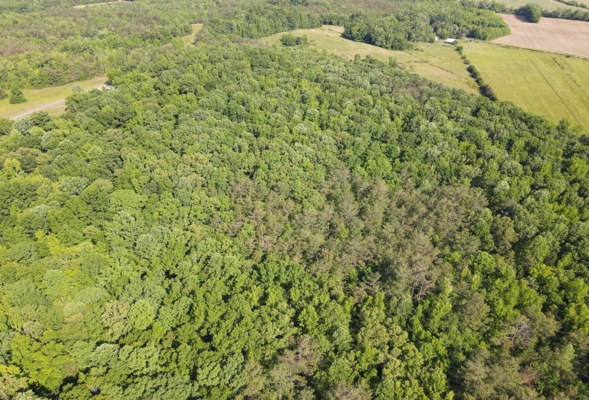 1 CARTER RD, Saltillo, Tennessee 38370, ,Land,For Sale,CARTER,10222250