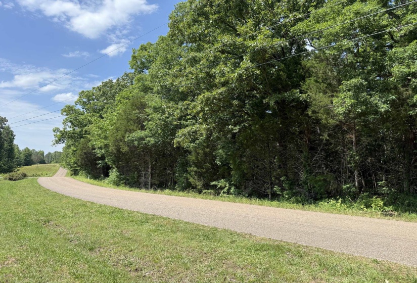 1 CARTER RD, Saltillo, Tennessee 38370, ,Land,For Sale,CARTER,10222250