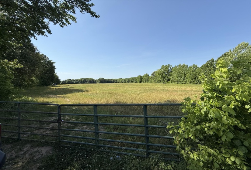 1 CARTER RD, Saltillo, Tennessee 38370, ,Land,For Sale,CARTER,10222250