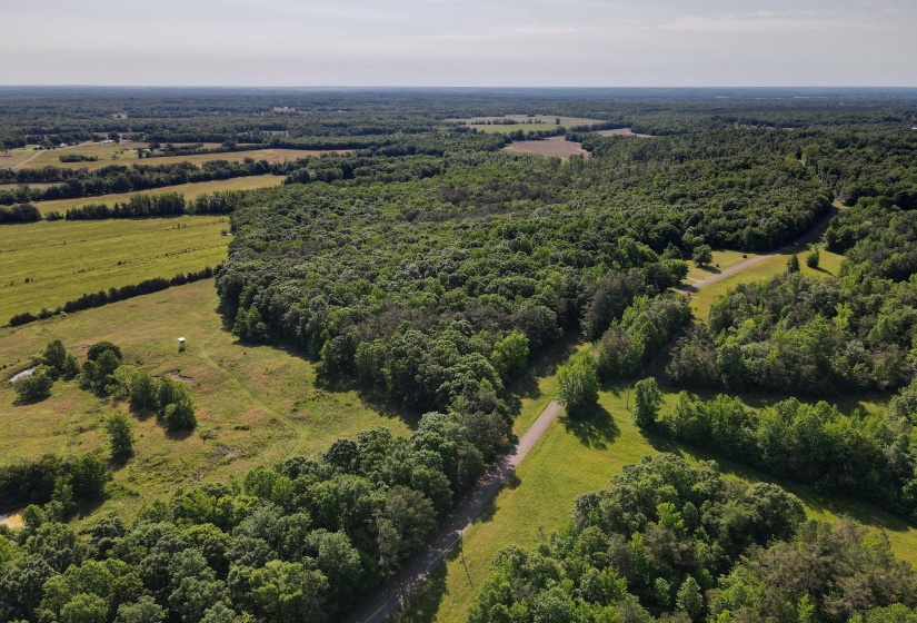 1 CARTER RD, Saltillo, Tennessee 38370, ,Land,For Sale,CARTER,10222250