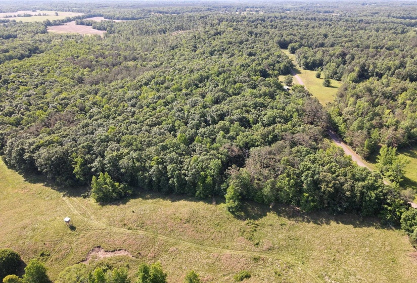 1 CARTER RD, Saltillo, Tennessee 38370, ,Land,For Sale,CARTER,10222250