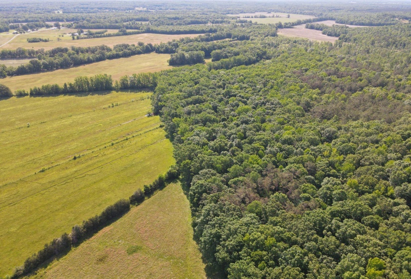 1 CARTER RD, Saltillo, Tennessee 38370, ,Land,For Sale,CARTER,10222250