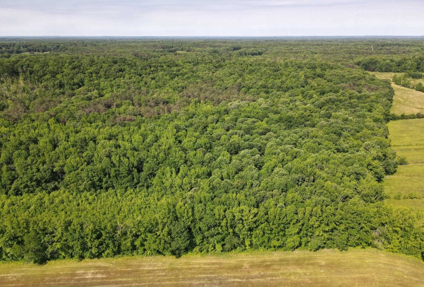 1 CARTER RD, Saltillo, Tennessee 38370, ,Land,For Sale,CARTER,10222250