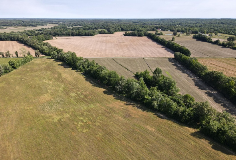 1 CARTER RD, Saltillo, Tennessee 38370, ,Land,For Sale,CARTER,10222250