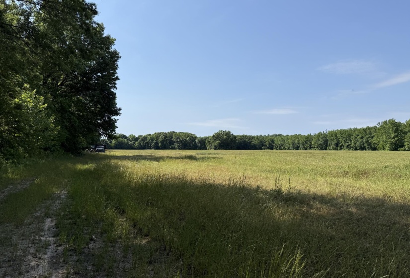 1 CARTER RD, Saltillo, Tennessee 38370, ,Land,For Sale,CARTER,10222250
