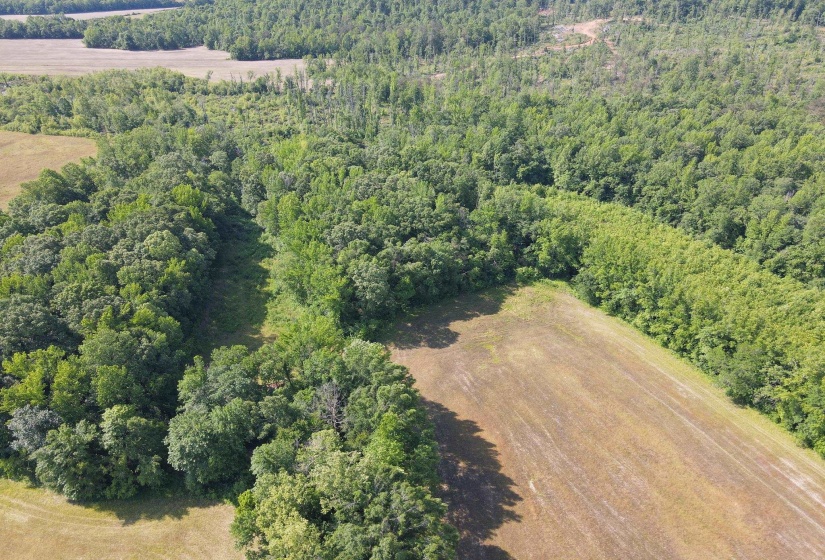1 CARTER RD, Saltillo, Tennessee 38370, ,Land,For Sale,CARTER,10222250