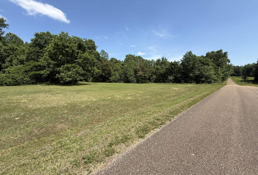 1 CARTER RD, Saltillo, Tennessee 38370, ,Land,For Sale,CARTER,10222250