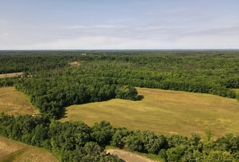 1 CARTER RD, Saltillo, Tennessee 38370, ,Land,For Sale,CARTER,10222250