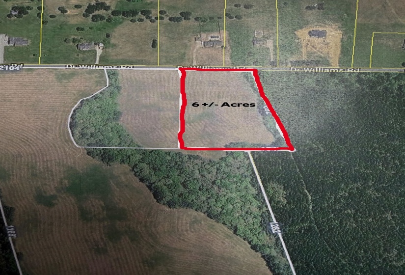 01 DR WILLIAMS RD, Michie, Tennessee 38357, ,Land,For Sale,DR WILLIAMS,10222274