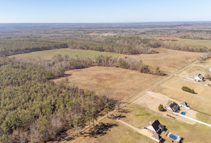 01 DR WILLIAMS RD, Michie, Tennessee 38357, ,Land,For Sale,DR WILLIAMS,10222274
