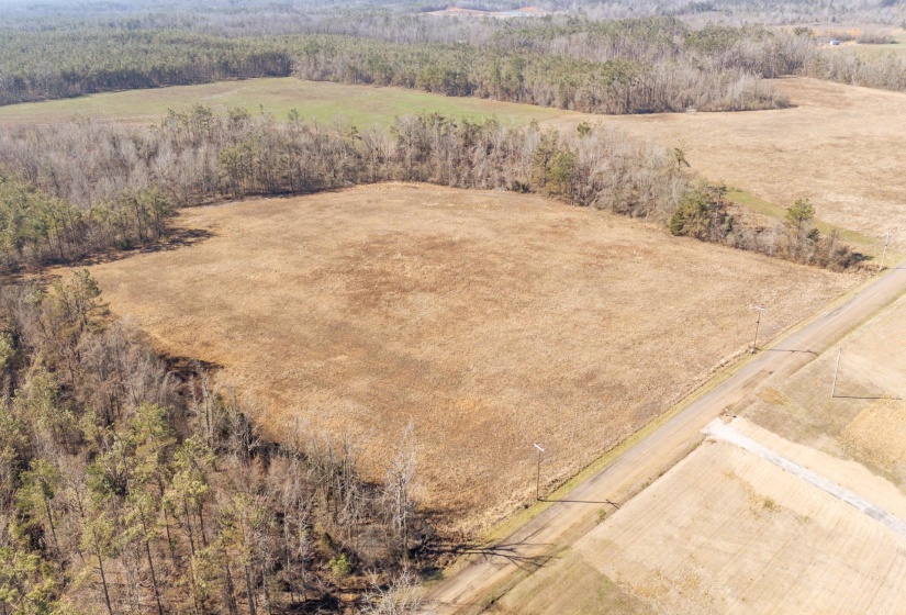 01 DR WILLIAMS RD, Michie, Tennessee 38357, ,Land,For Sale,DR WILLIAMS,10222274