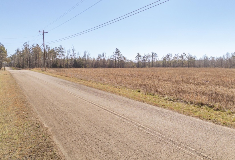 01 DR WILLIAMS RD, Michie, Tennessee 38357, ,Land,For Sale,DR WILLIAMS,10222274