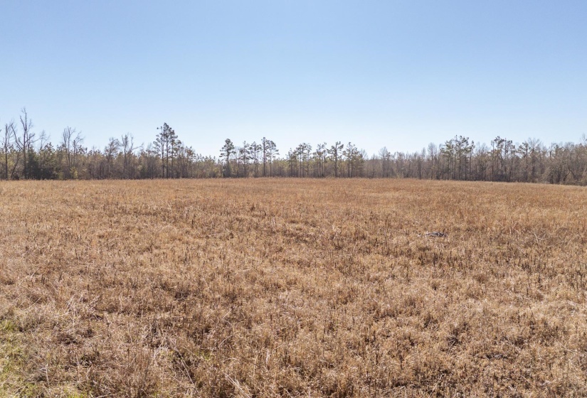 01 DR WILLIAMS RD, Michie, Tennessee 38357, ,Land,For Sale,DR WILLIAMS,10222274