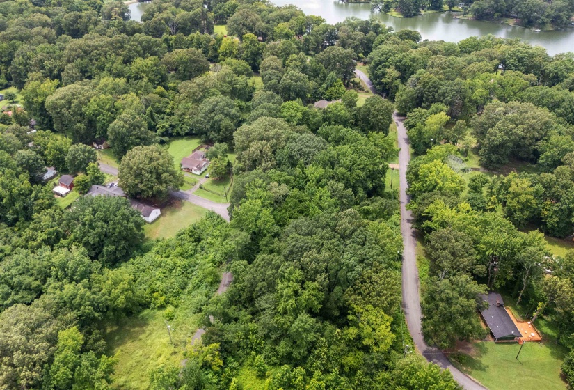 Bird's eye view of a forest and a large body of water