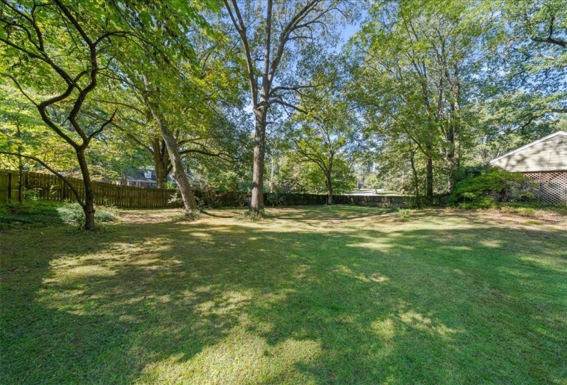 View of fenced backyard