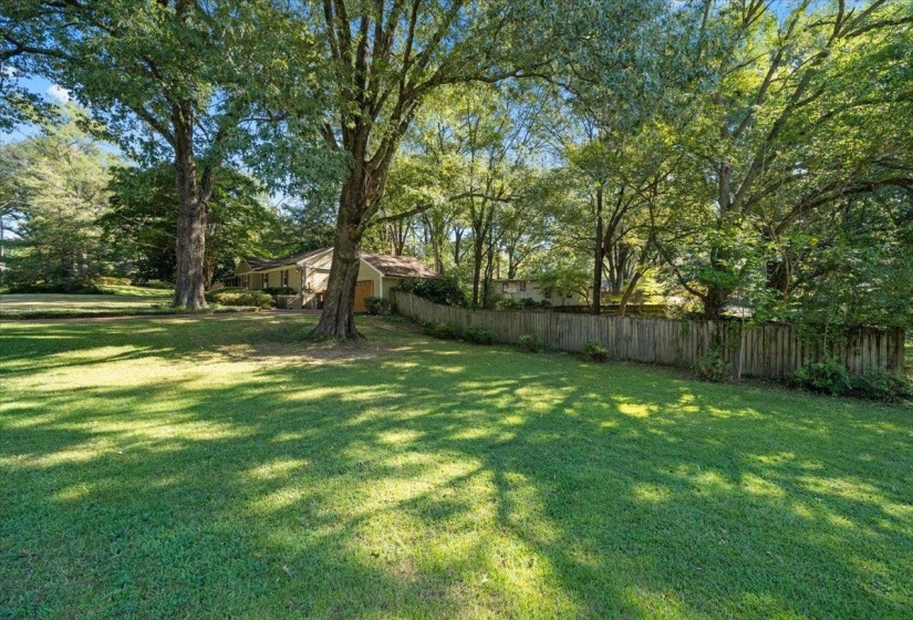 View of yard featuring view of wooded area