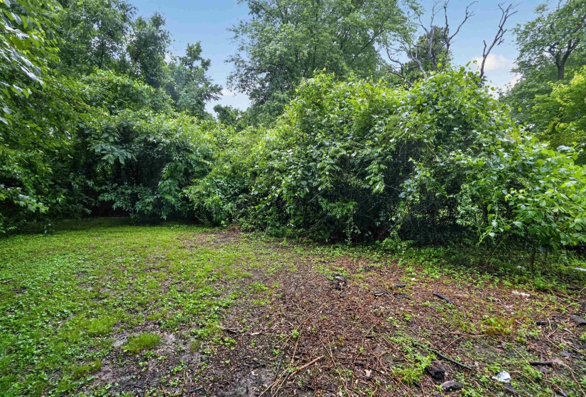 Expansive natural landscape with mature trees and dense foliage providing natural screening
