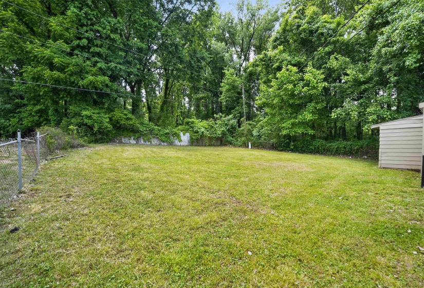 Expansive rear yard featuring a manicured lawn, established perimeter foliage, and a chain-link fence