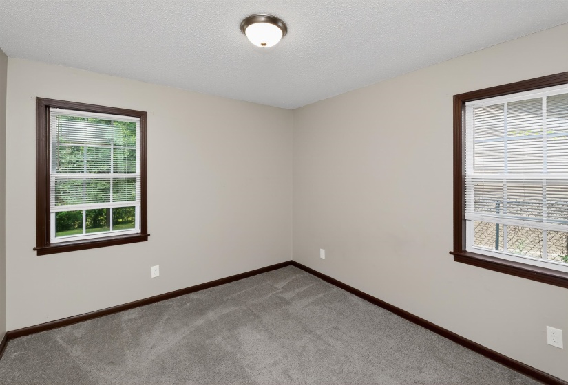Room featuring light gray wall paint, dark wood-finish trim, and gray carpet flooring