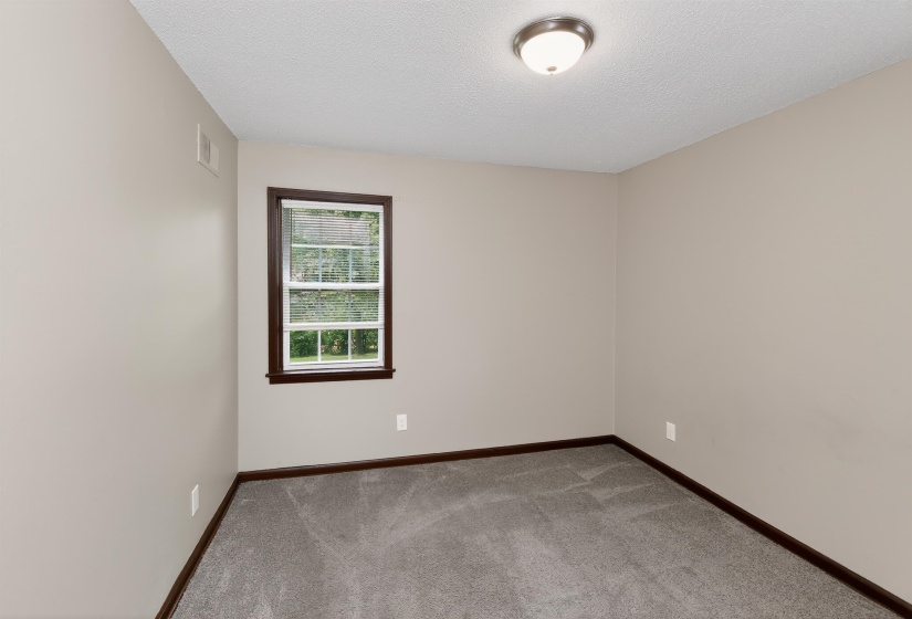 Carpeted room featuring neutral wall tones, a single window with dark wood trim, dark wood baseboards, and a flush-mount ceiling light fixture