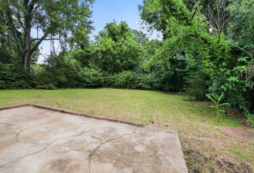 Expansive rear yard featuring a concrete patio, mature trees, and natural landscaping
