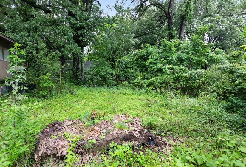Expansive wooded lot featuring mature trees and established natural landscaping