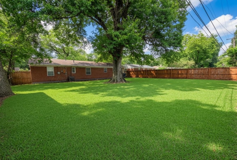 Expansive lawn with perimeter wood fencing and mature shade trees