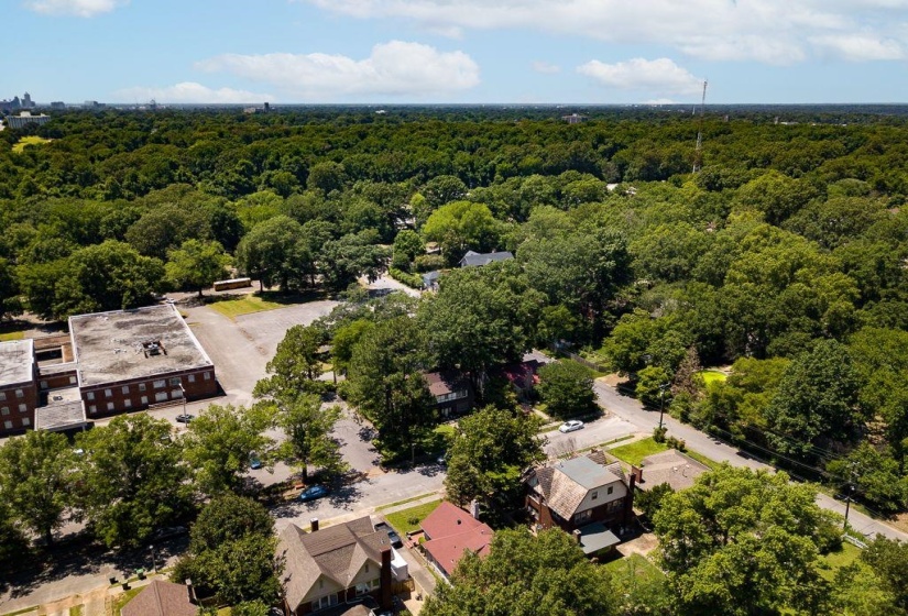Expansive tree canopy surrounding residential properties