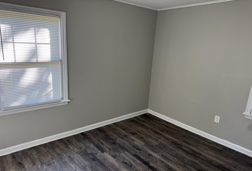 Interior room featuring wood-finish flooring, light gray wall paint, and white trim molding